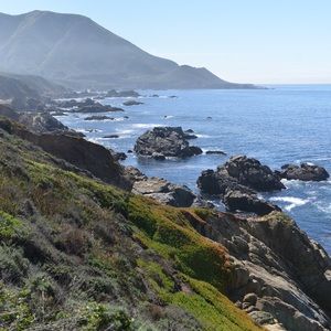 Meet your Posher, Marissa